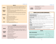 Load image into Gallery viewer, 2024 | CPA Exam Review Notes - BAR | Digital Download | 35 Pages | Business Environment and Concepts | 2024 Edition